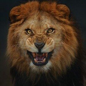 Meet your Posher, Leroy